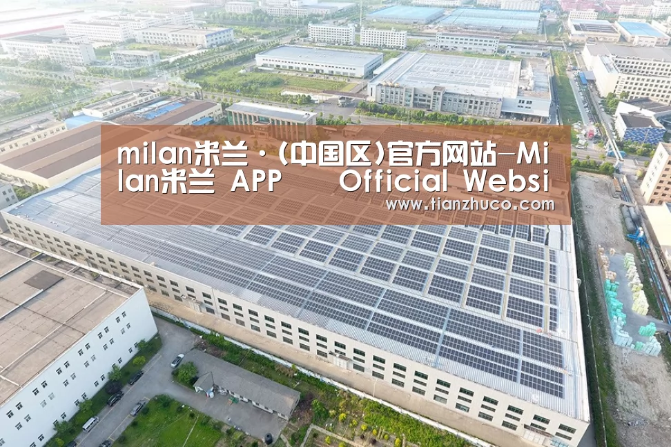 案例展示一