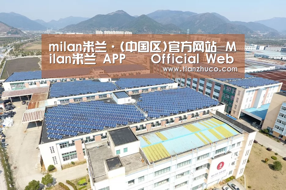 案例展示一