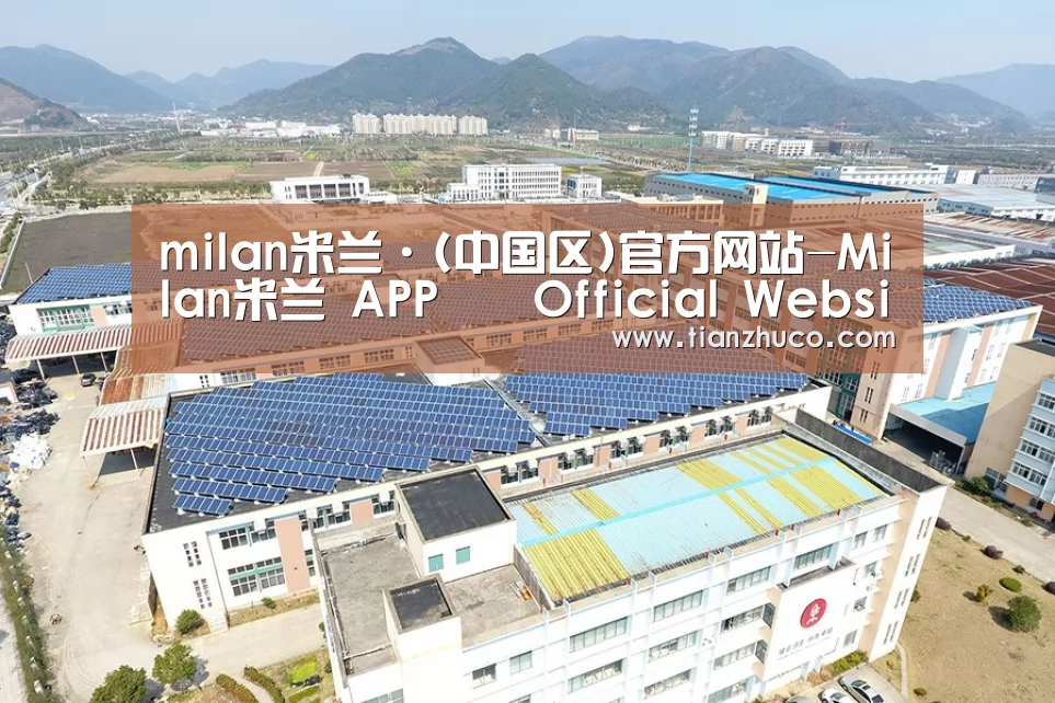 案例展示四