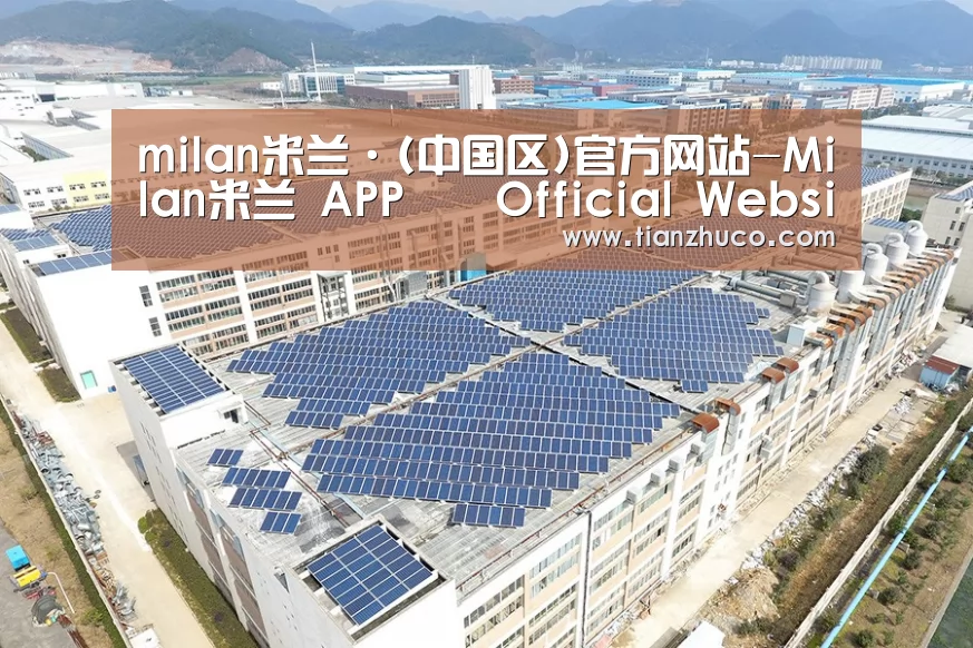 案例展示四