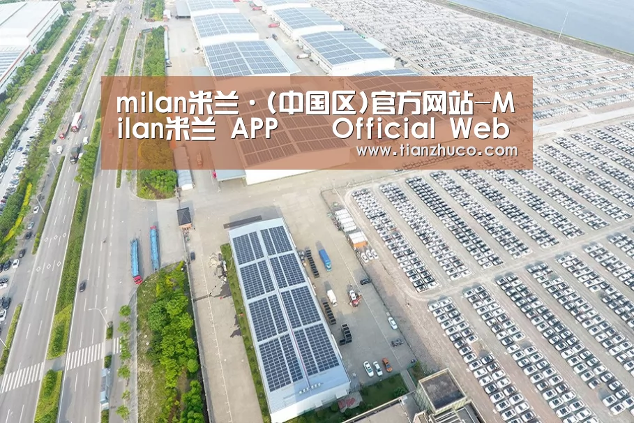 案例展示四