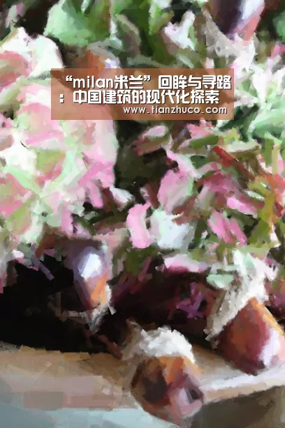 milan米兰app官网