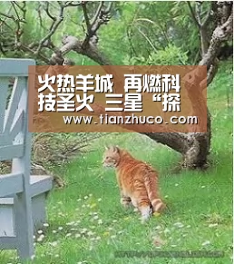火热羊城 再燃科技圣火 三星“探知未来”2016全国青年科普创新实验大赛激战广州|米兰官方网站(图2) 米兰官方网站