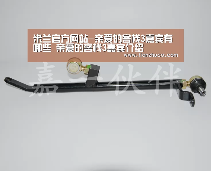 米兰官方网站-亲爱的客栈3嘉宾有哪些 亲爱的客栈3嘉宾介绍(图4) milan米兰app官网
