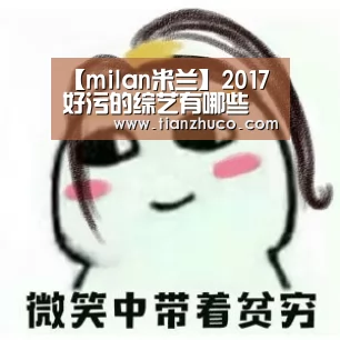 【milan米兰】2017好污的综艺有哪