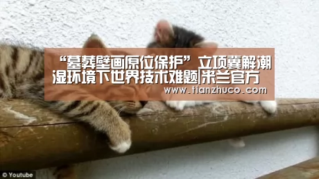 “墓葬壁画原位保护”立项冀解潮湿环境下世
